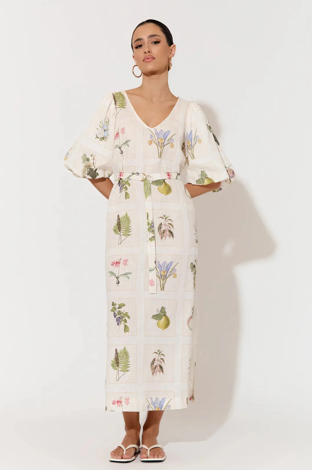 Bailee Botanical Belle Dress Print