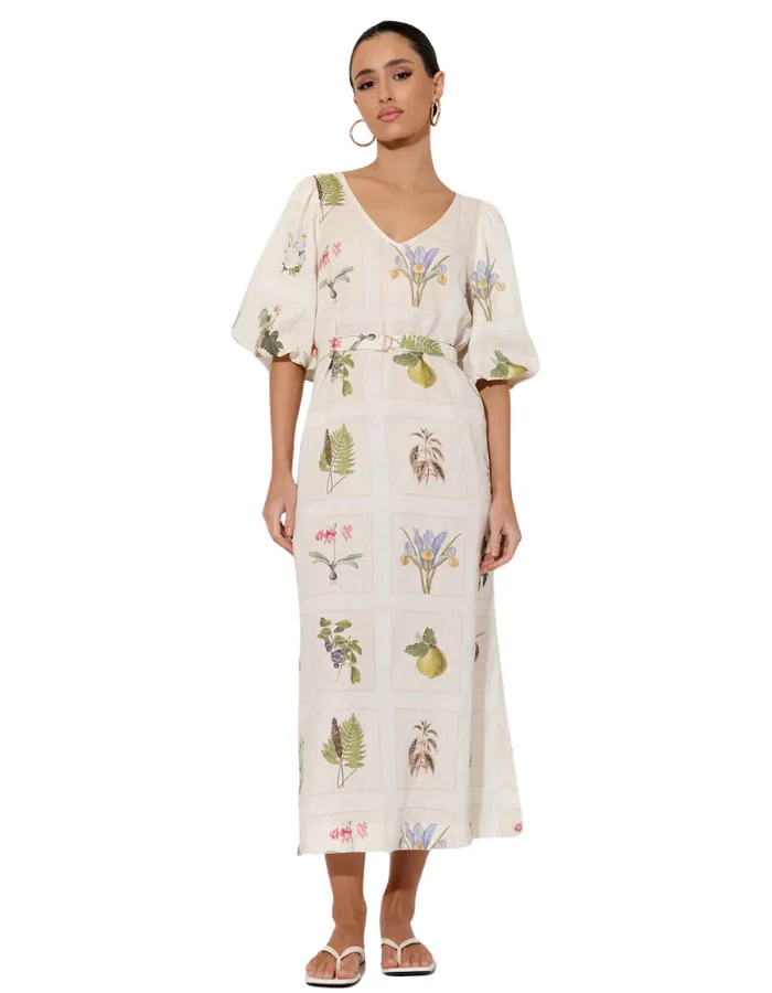 Bailee Botanical Belle Dress Print