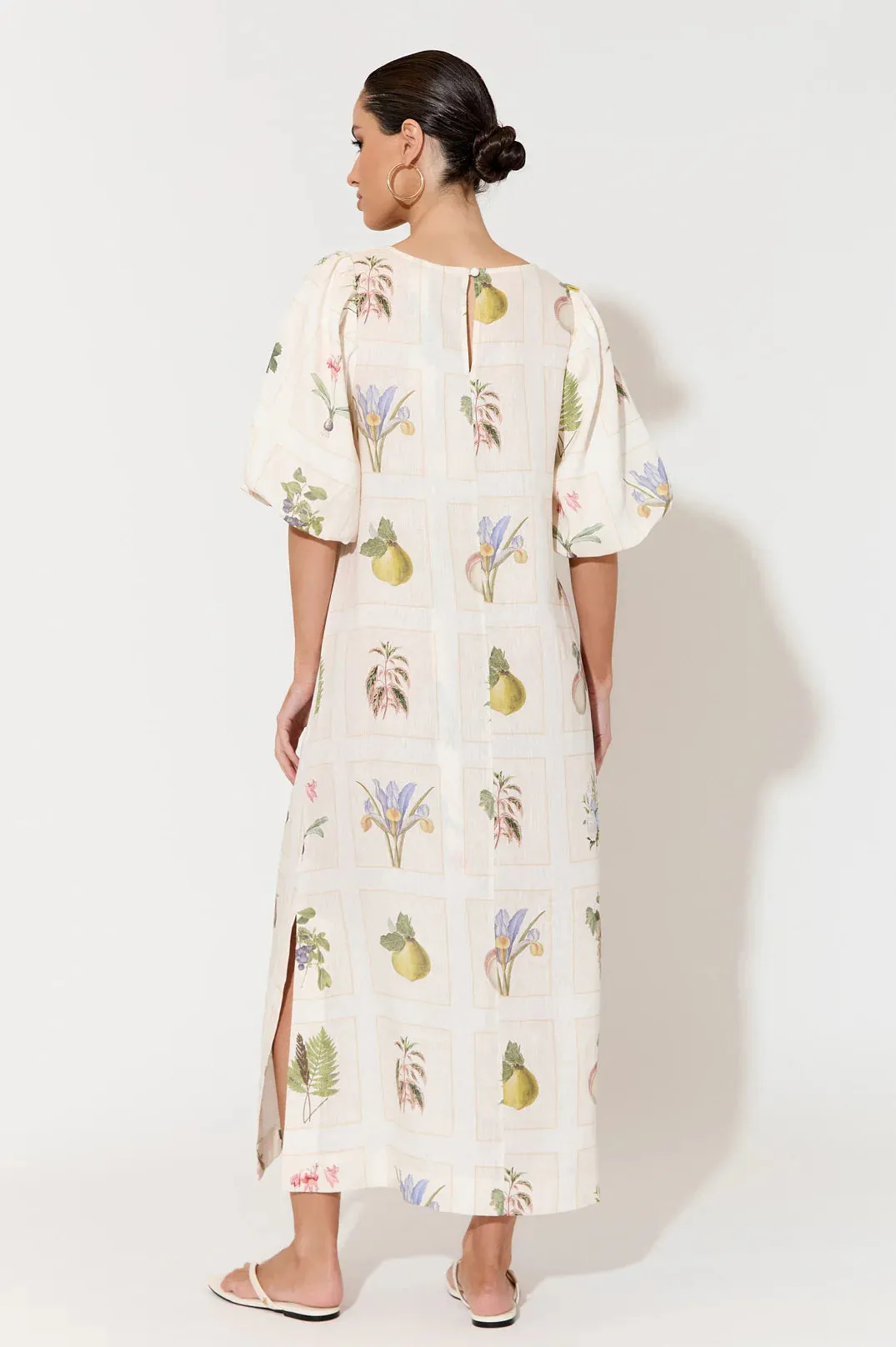 Bailee Botanical Belle Dress Print