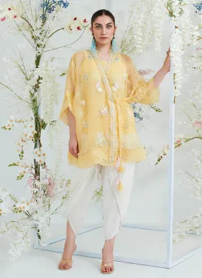 Tara Collection 23 - Clarita Lemon Organza Wrap