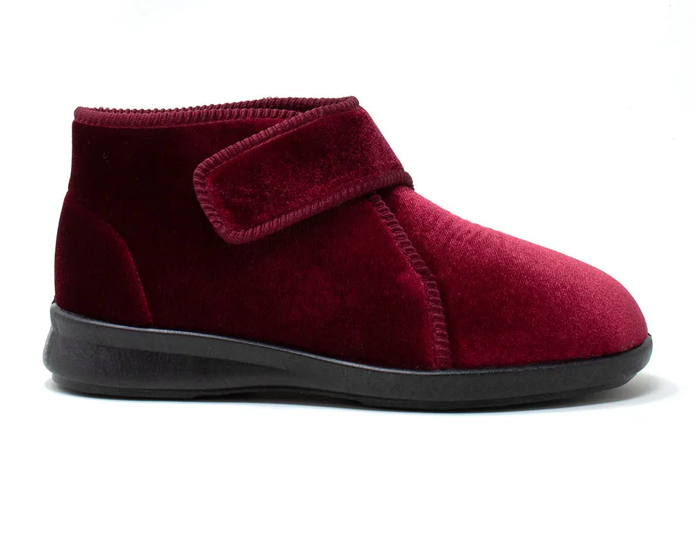 Tern Burgundy 6V