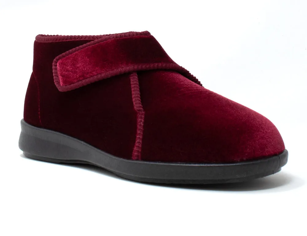 Tern Burgundy 6V